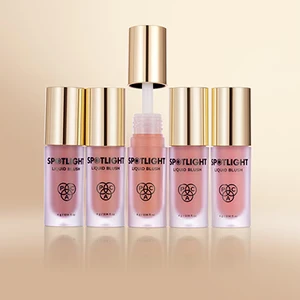 Eyeliner Brush 300 Hover