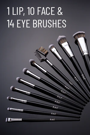 PAC Synthetic Series (25 Brushes)